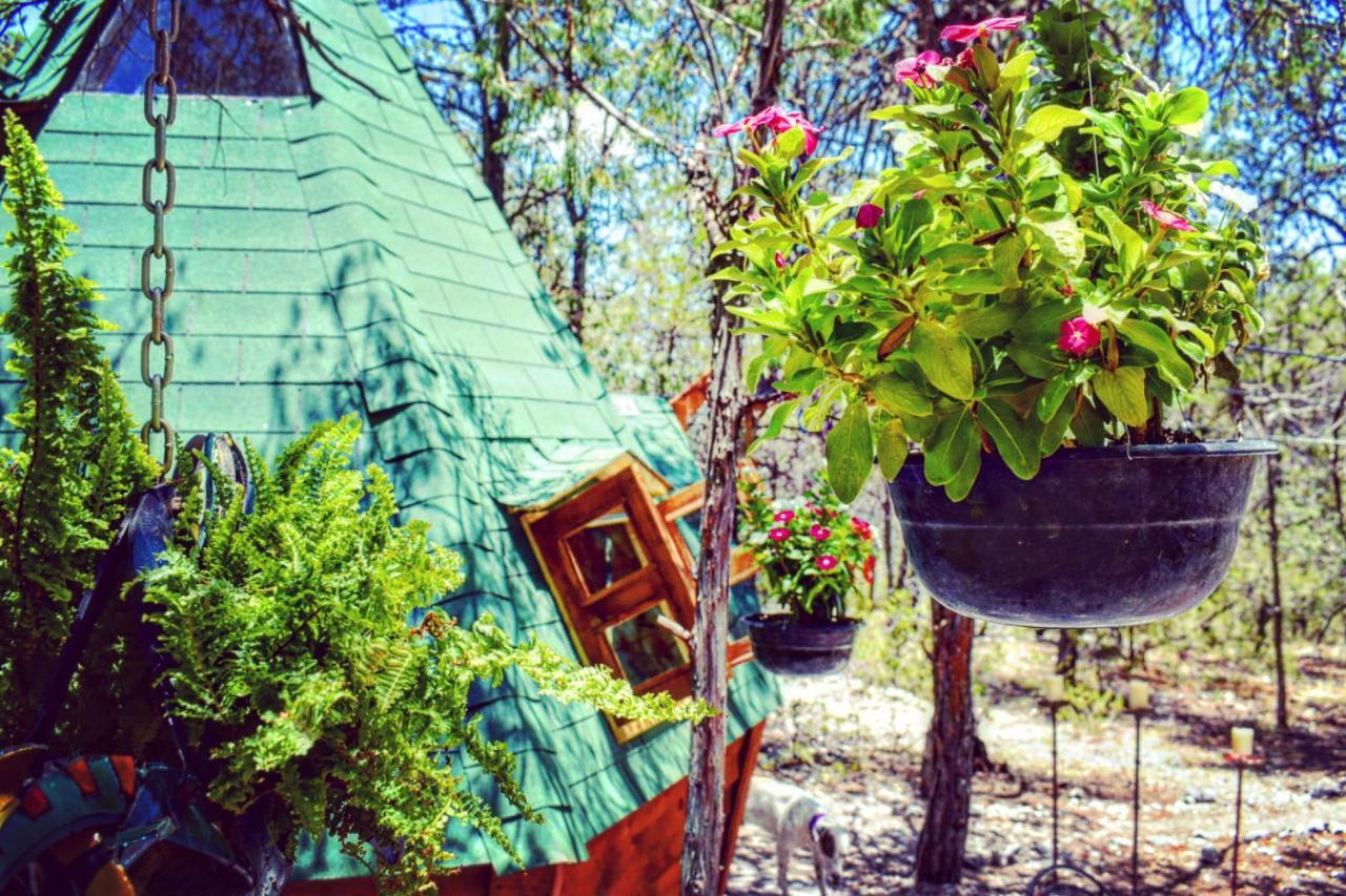 Campsite Pequena Magica Con Chimenea Interior *